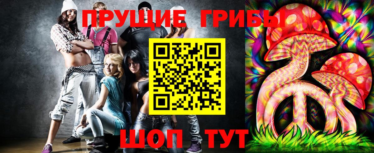 Псилоцибиновые грибы GOLDEN TEACHER  Галлюциногенные грибы Psilocybine cubensis  Вход с VPN  Россошь 