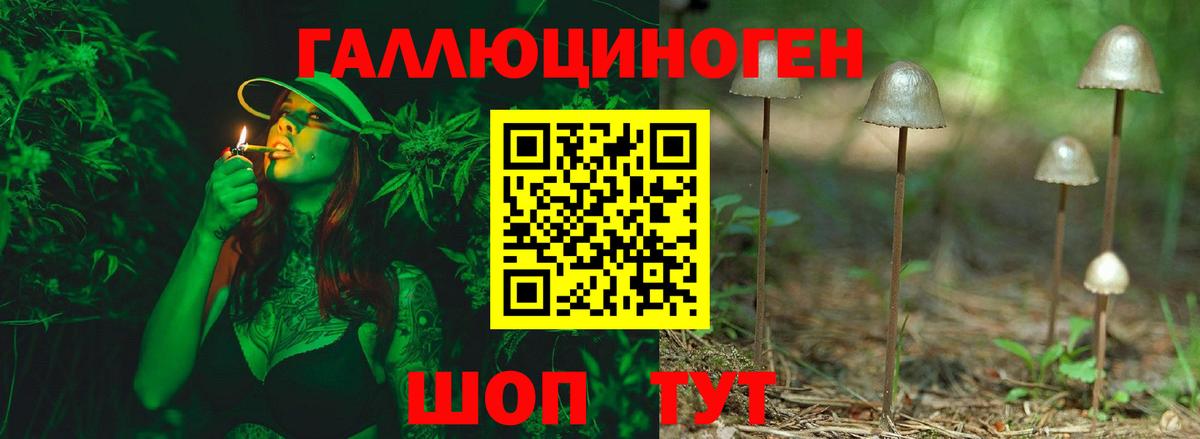 Псилоцибиновые грибы Psilocybe Россошь